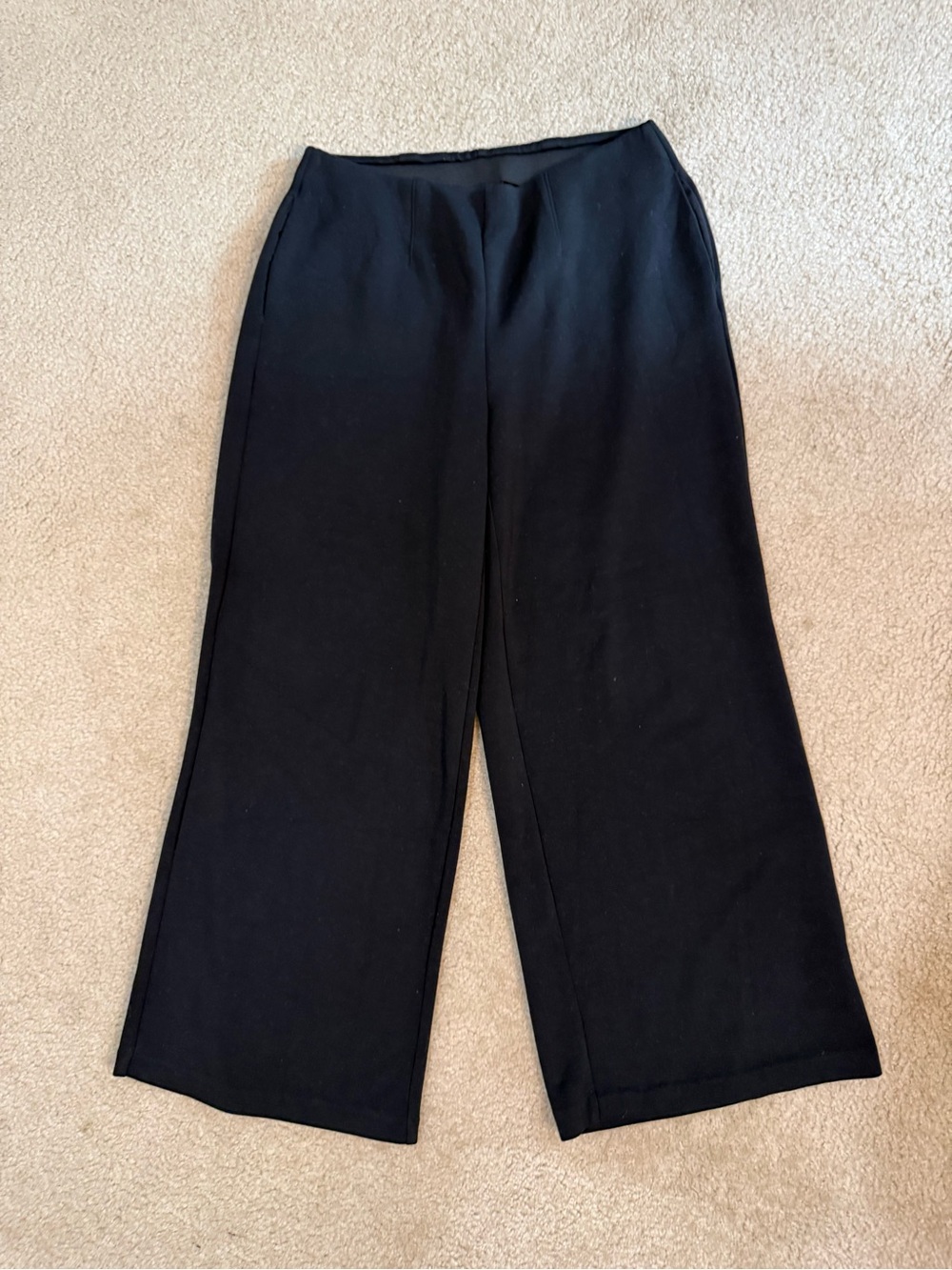 Black Wide-Leg Pull-On Pants